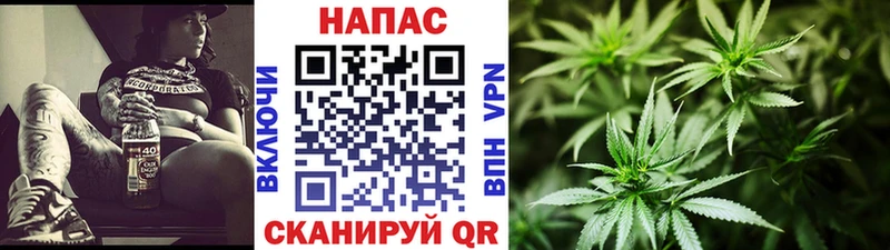Виды наркотиков купить Никольское Альфа ПВП  Гашиш 