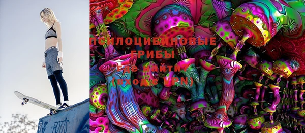 спиды Новозыбков