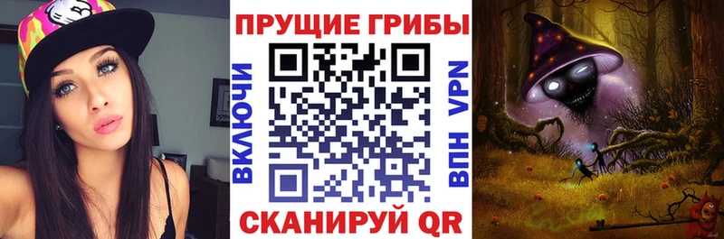 Галлюциногенные грибы GOLDEN TEACHER  где найти   Никольское 